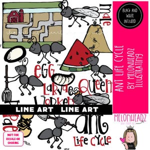 Ant Life Cycle clip art, Ant Farm LINE ART and Black and White