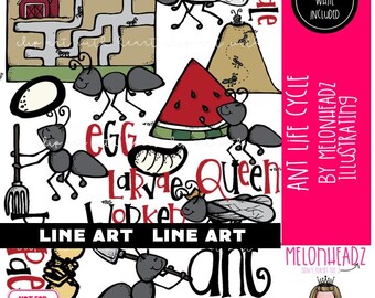 Ant Life Cycle clip art, Ant Farm LINE ART and Black and White