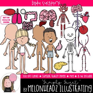 Puede incluir: Un conjunto de ilustraciones de dibujos animados coloridos de los sistemas del cuerpo humano. Las ilustraciones incluyen los sistemas esquelético, muscular, nervioso, circulatorio, digestivo y respiratorio. Las ilustraciones están en un estilo simple y amigable para los niños. El texto "body systems" está en la parte superior de la imagen. El texto "Simply Sweet" y "By Melonheadz Illustrating" está en la parte inferior de la imagen.