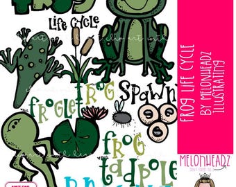 Ciclo de vida do sapo - imagens, ciência, sequência - versão colorida