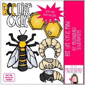 Bijenlevenscyclus clipart Mini