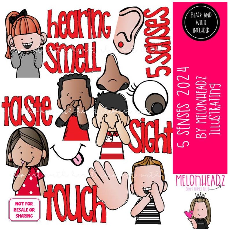 May include: Five senses clip art set featuring illustrations of children covering their eyes, ears, nose, mouth, and hand. The words "sight", "hearing", "smell", "taste", and "touch" are included in the image.
