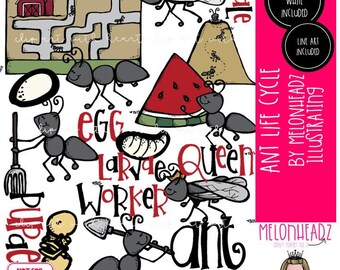Ant Life Cycle clip art, Ant Farm COMBO PACK