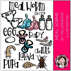 May include: A black and white illustration of the life cycle of a mealworm. The illustration shows the egg, baby, larva, pupa, and adult stages of the mealworm. The text "Meal Worm" and "Life Cycle" is included in the illustration.
