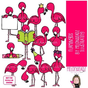 Flamingos clip art, pássaro clip art Versão COLORIDA