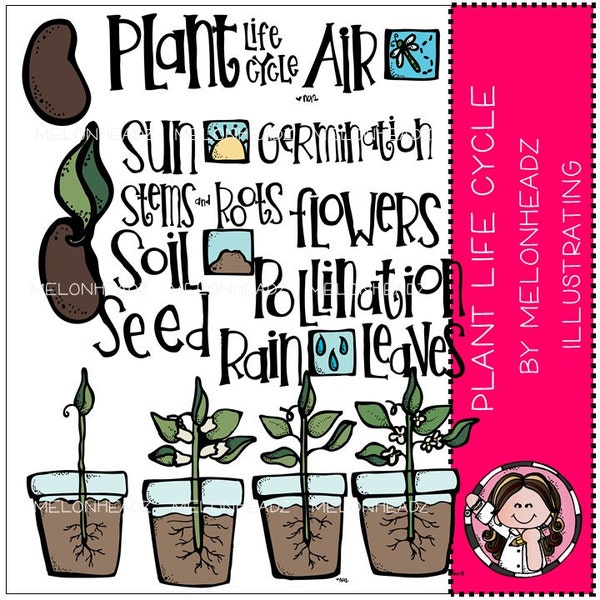 Plant Life Cycle Clip Art - Etsy