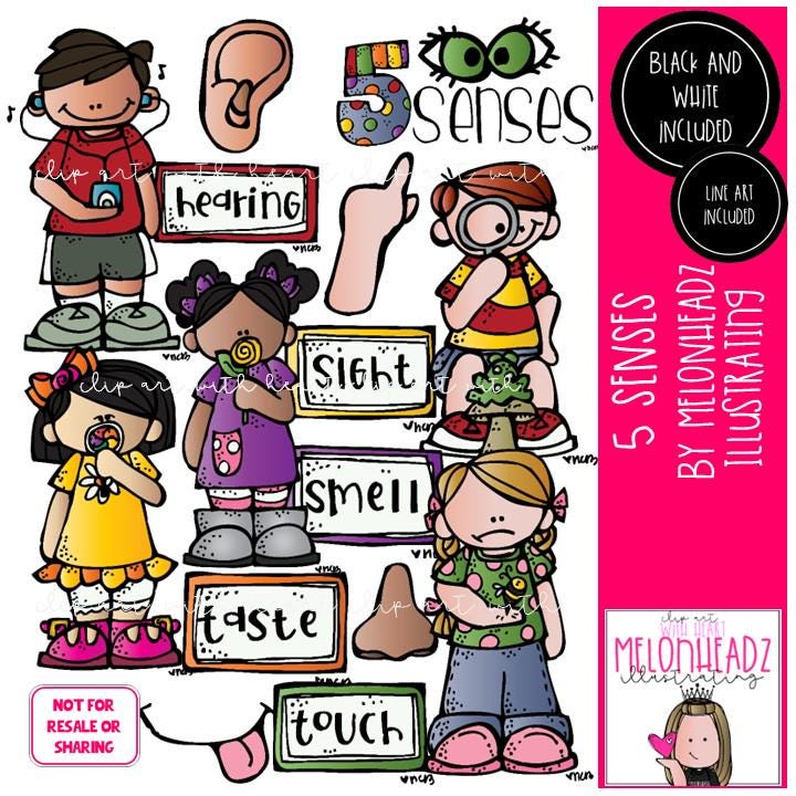 5 {five} Senses Clip Art, Smell, Sight, Hearing COMBO PACK - Etsy