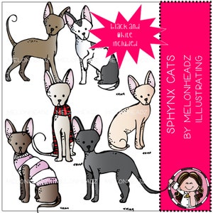 Chats Sphynx clip art - Mini