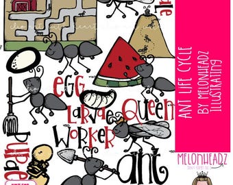 Ant Life Cycle clip art, Ant Farm COLORED Version