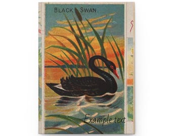 Black Swan Hardcover Journal: Artistic Nature-Inspired Notebook