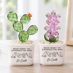 May include: Two glass cactus figurines in white square pots. The left is green with an orange flower; the right is pink. Each pot features the text "NEVER FORGET THE DIFFERENCE YOU MAKE", icons of a dog, stethoscope, paw, syringe, cat, and "Dr. Smith".