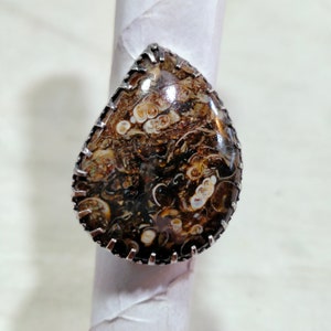 Turritella Fossil, Turritella Fossil Ring, Statement Ring, Beautiful Ring, 925 Sterling Silver, Silver Ring, Shape Fancy , Size 26x34 MM