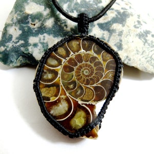 Ammonite Fossil Macrame Pendant: Handmade Gemstone Jewelry (39x49 mm)