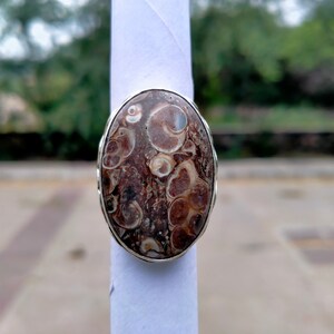 Turritella Fossil, Turritella Fossil Ring, Statement Ring, Beautiful Ring, 925 Sterling Silver, Silver Ring, Shape Oval, Size 32x22 MM