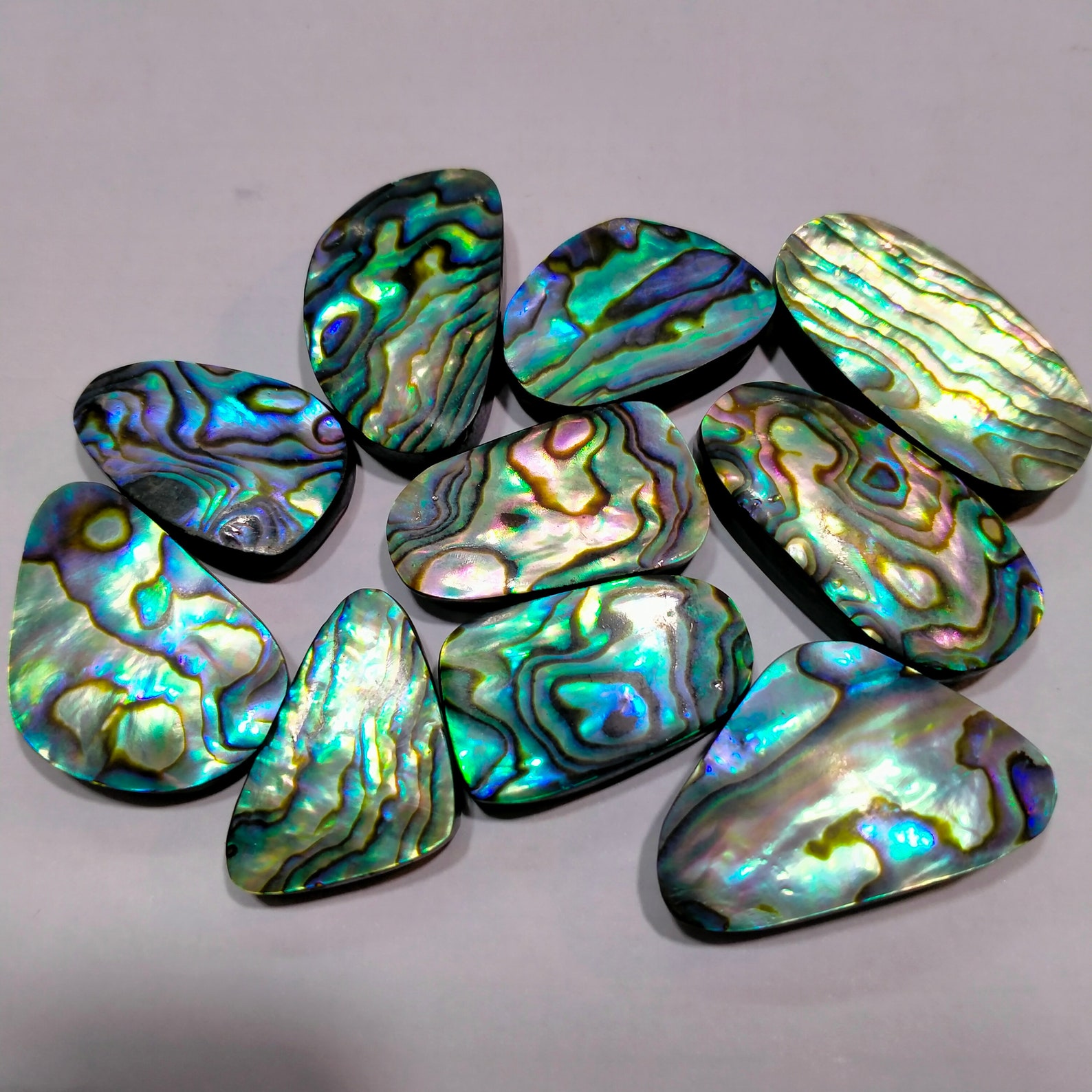 Abalone Shell // Abalone Shell Stone // 10 Piece Lot // Etsy