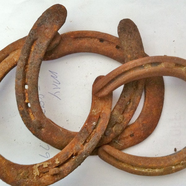 Authentic Horseshoes Etsy