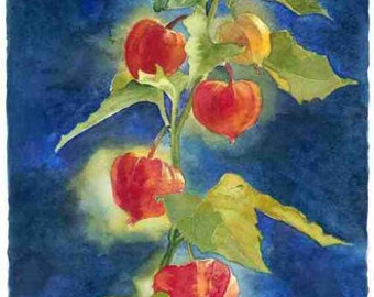 Long Chinese Lanterns, Watercolour Giclée print