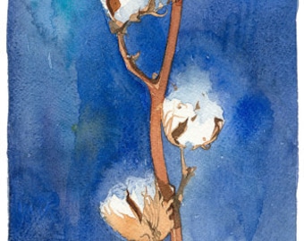 Cotton branch Watercolour Giclée print