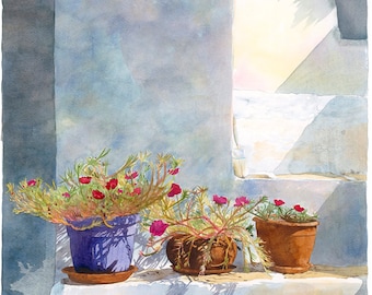 pink flowers against a whitewashed wall, Watercolour Giclée print
