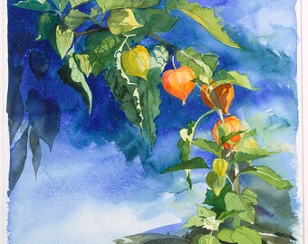 Chinese Lanterns, Watercolour Giclée print