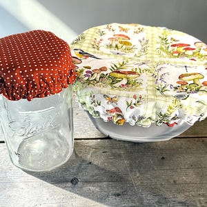 May include: A clear glass Ball jar with a red polka dot fabric lid next to a bowl covered with a fabric lid featuring a mushroom and floral design. The lids are reusable and eco-friendly.