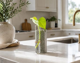 Handmade Concrete Propagation Station – Modern Plant Cutting Holder (2"x3"x6")