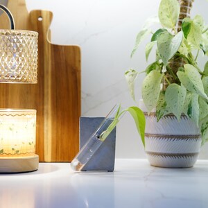 May include: A candle warmer lamp with a gold-toned metal arm and a textured glass shade sits above a lit candle in a glass jar. Beside it, a clear glass test tube propagation station with a small plant is held in a gray concrete block.