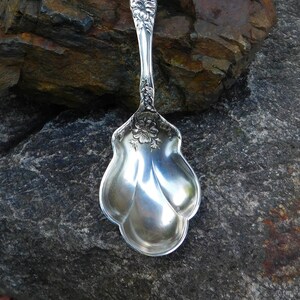 Op de afbeelding: Een zilveren suikerlepel met een sierlijk, bloemmotief. De lepel heeft een ronde kom en een lange, slanke steel.