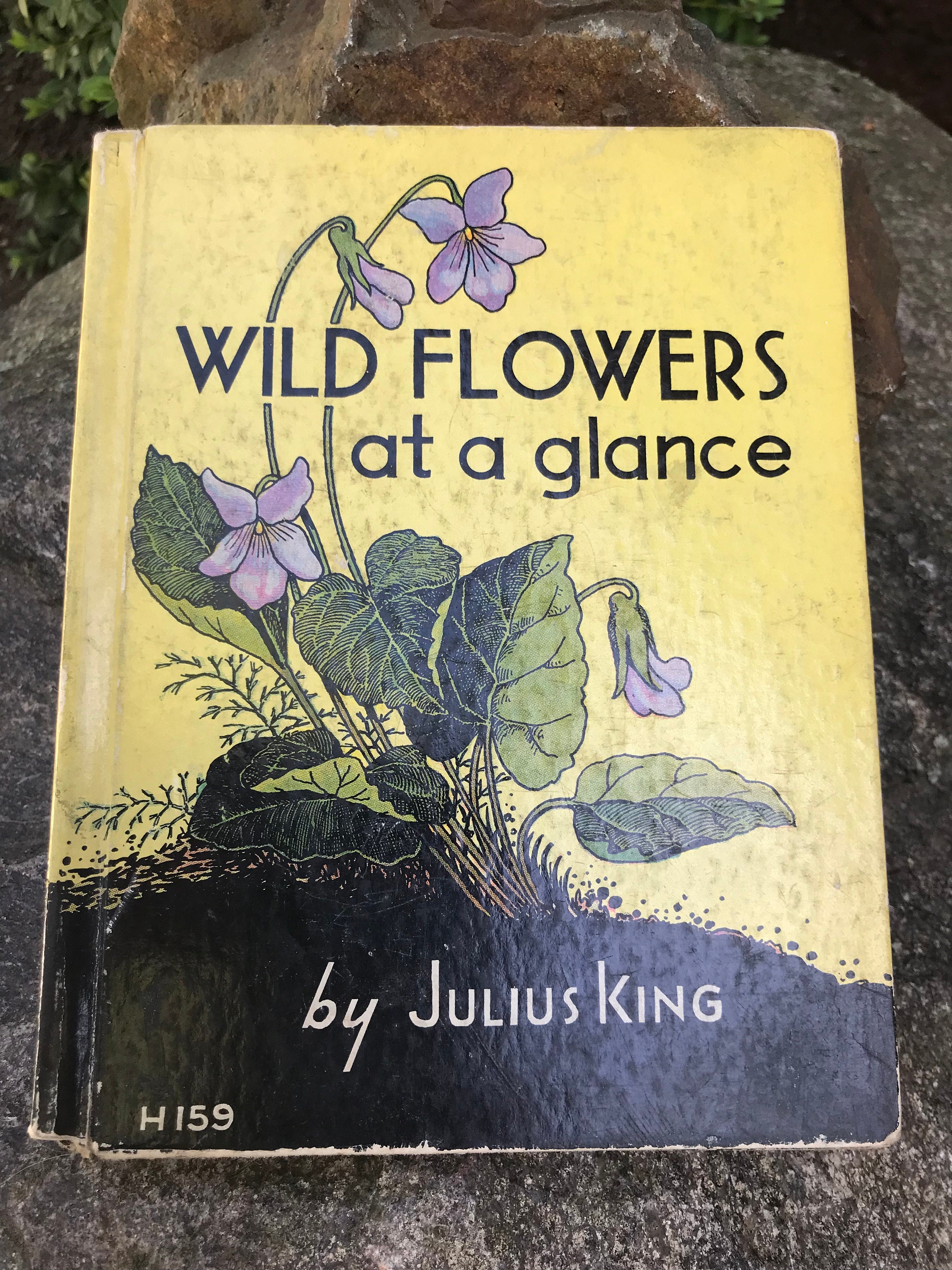 Vintage Wild Flowers at a Glance by Julius King - 1935 First