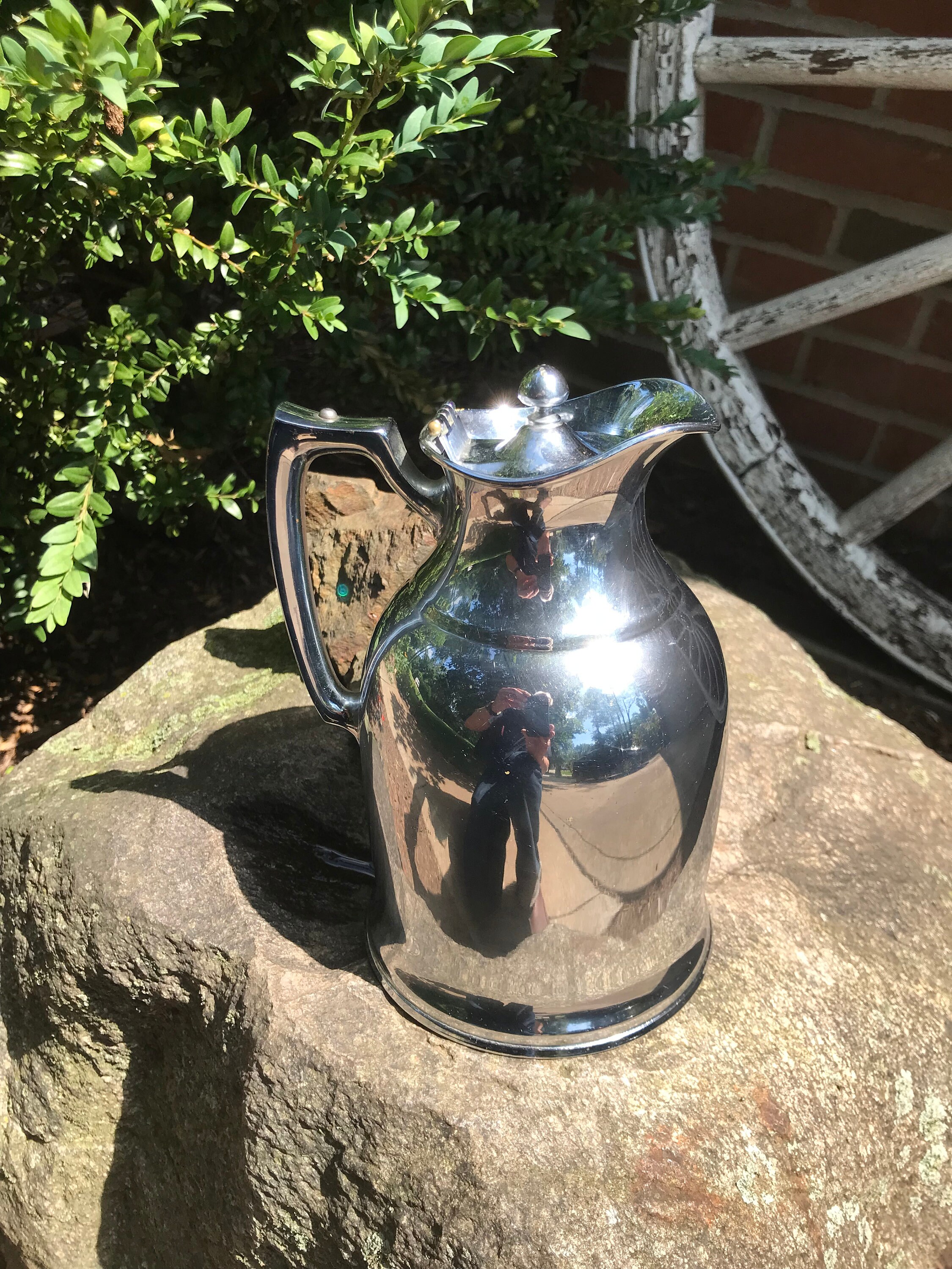 Double Walled Serving Pitcher – Oregon Tea Traders