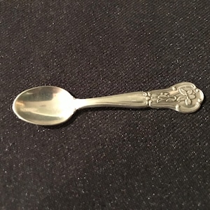 Può includere: Un cucchiaino d'argento con un manico decorato. Il cucchiaino ha una ciotola arrotondata e un design decorativo sul manico.