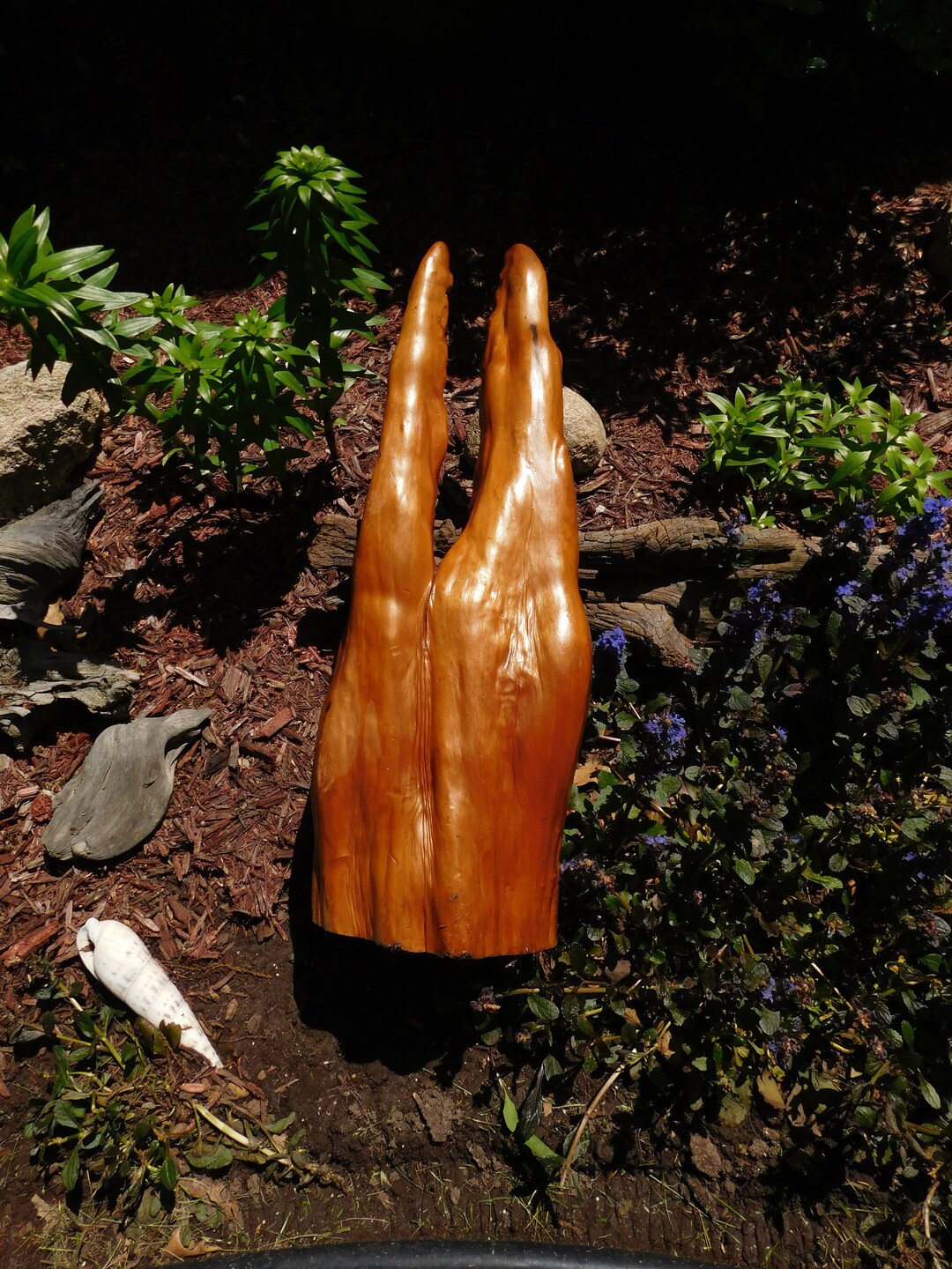 Cyprus Root for Home Decor or Crafts - From Dustymillerantiques - Etsy