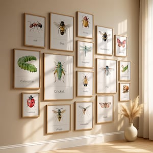Può includere: Una parete galleria con quindici stampe incorniciate di insetti e piccole creature, ognuna etichettata con il proprio nome: Ant, Bee, Beetle, Bumblebee, Butterfly, Caterpillar, Cricket, Dragonfly, Firefly, Fly, Grasshopper, Ladybug, Snail, Wasp e Mosquito.