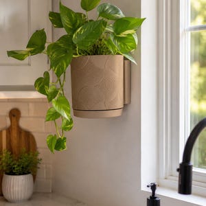Op de afbeelding: Een aan de muur gemonteerde, lichtbeige cilindrische plantenbak met een gestructureerd patroon van overlappende concentrische halve cirkels. Een hangende pothosplant met gevlekte, hartvormige groene en gele bladeren groeit uit de plantenbak.