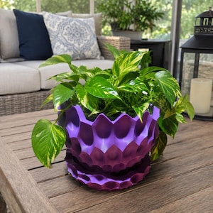 May include: A vibrant purple plant pot with a textured, scalloped, honeycomb-like exterior design and a matching circular base tray. A lush, variegated pothos plant with green and yellow heart-shaped leaves grows out of the container.