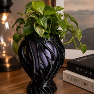 May include: A black, organic-shaped, 3D-printed planter with a complex, web-like lattice structure. The planter holds a vibrant green and cream-variegated pothos plant, revealing a smooth, light-coloured inner pot through its open, flowing cutouts.