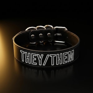 May include: A black collar featuring the white text THEY/THEM printed on the front. The collar is constructed from a smooth material and includes silver-toned metal hardware, specifically a buckle, three rivets, and three circular rings at the back.