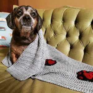 Dog and Cat Blankets - Etsy
