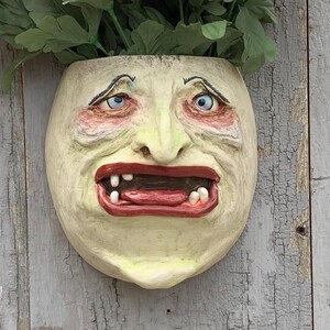 May include: A whimsical, wall-mounted planter shaped like a face with a wide open mouth, filled with faux flowers in shades of peach, pink, and white. The face is painted in pale yellow with red lips and blue eyes. The text "The Art of Lucky Stradley" is at the bottom.