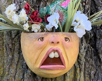 LARGE  WALL PLANTER - Ready to ship - Wheel thrown, hand altered and sculpted. Just a friendly wall planter to display your favorite plants.
