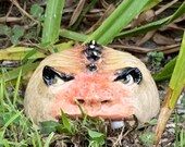 Garden Guardian - Wheel thrown, hand altered & sculpted. Just a friendly face to guard your garden, potted plants or hide your keys