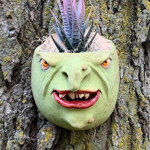 May include: A green ceramic planter shaped like a grotesque face with a toothy grin, holding a small succulent plant with purple and green leaves. The planter is mounted on a tree trunk.