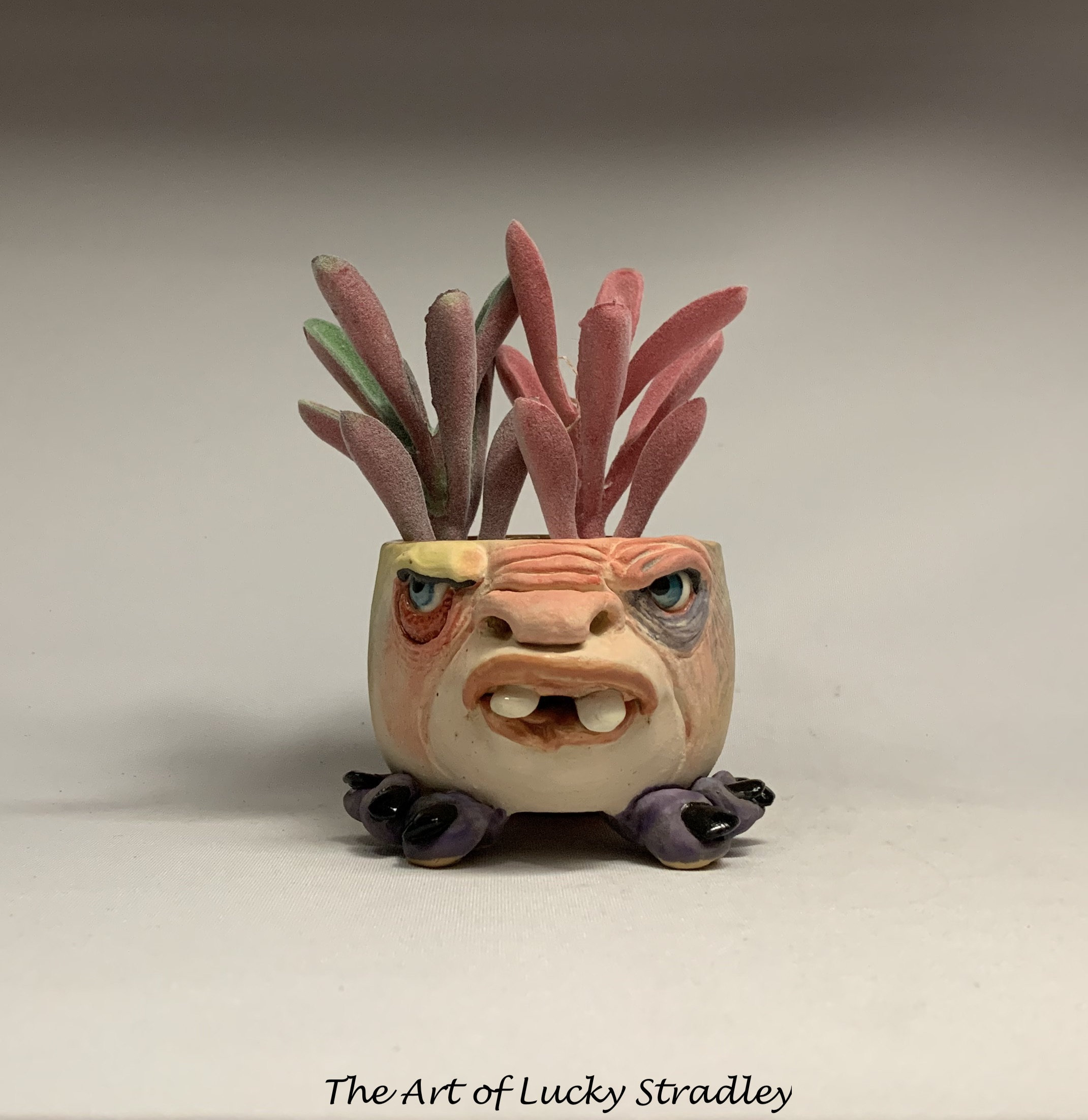 鉢・プランター valiem monster mouth bowlneck Msize il_fullxfull.6105186635_2uw6.jpg