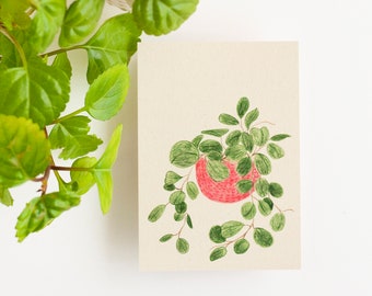 Hoya Obovata plant, card, A6, illustratie