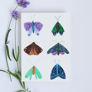 Six papillons de nuit, carte, A6