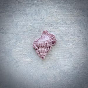 Lavender Ceramic Shell, Hand Painted Art Tile, Seascape Mosaic Supply