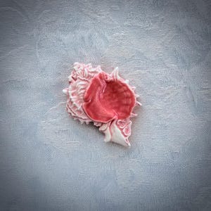 Pink Ceramic Shell, Hand Painted Art Tile, Seascape Mosaic Supply