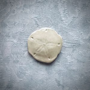 May include: A white sand dollar with a five-pointed star design in the center. The sand dollar is on a white textured background.