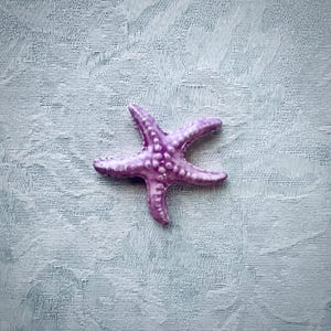 Purple Ceramic Starfish for Mosaic Seascape Art, Beach Mosaic, Hand Painted Tile