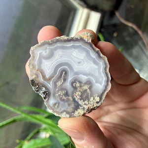 May include: A polished agate slice featuring concentric bands of translucent white, light gray, and lavender hues. The stone has a rough, natural outer edge with small crystalline inclusions and a smooth, flat face displaying intricate mineral patterns.